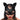 Master Series Bad Kitten Leather Cat Mask